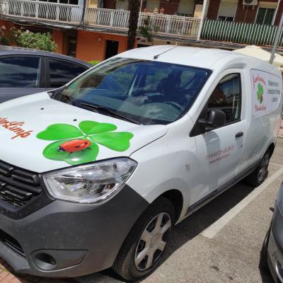 Rotulacion Vehiculos 24